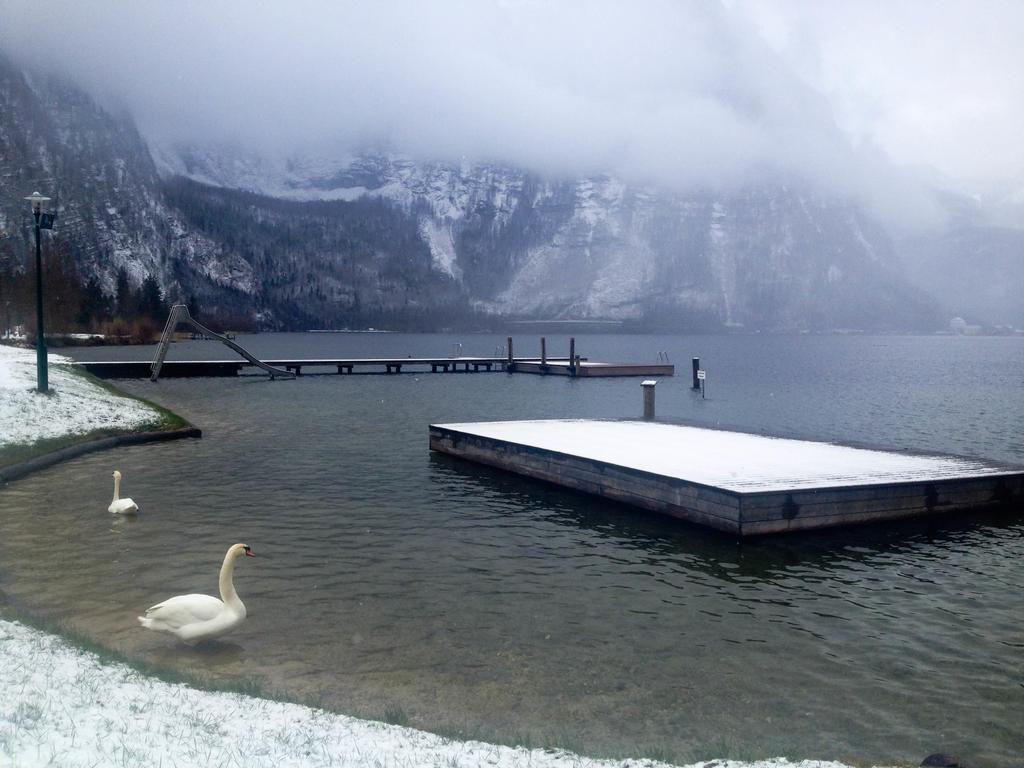 Seehotel Am Hallstaettersee