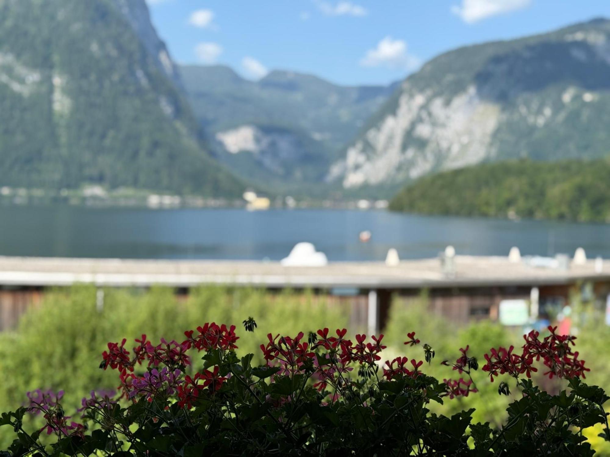 Seehotel Am Hallstaettersee 2*